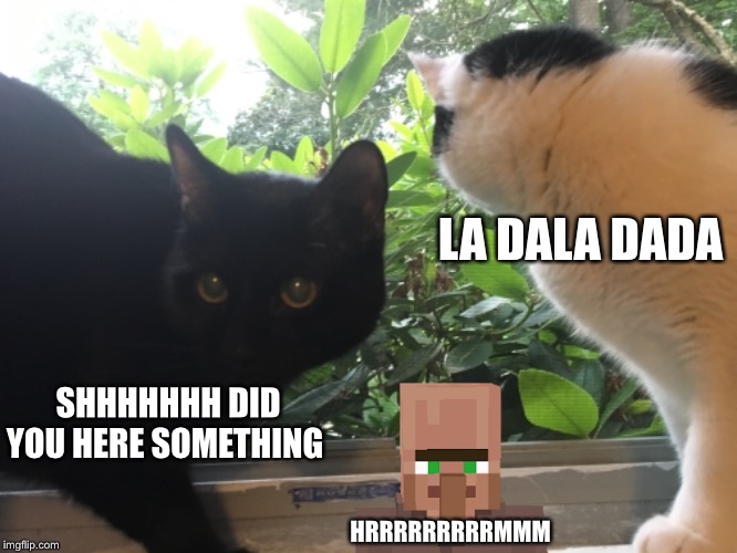 LA DALA DADA; SHHHHHHH DID YOU HERE SOMETHING; HRRRRRRRRRMMM | image tagged in cats | made w/ Imgflip meme maker