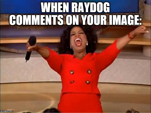 Oprah You Get A | WHEN RAYDOG COMMENTS ON YOUR IMAGE: | image tagged in memes,oprah you get a | made w/ Imgflip meme maker