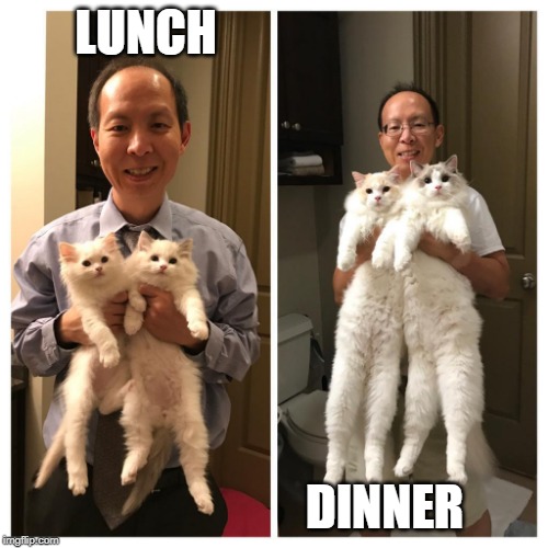 ASIAN FOOD | LUNCH; DINNER | image tagged in asian,chinese food,dark humor | made w/ Imgflip meme maker