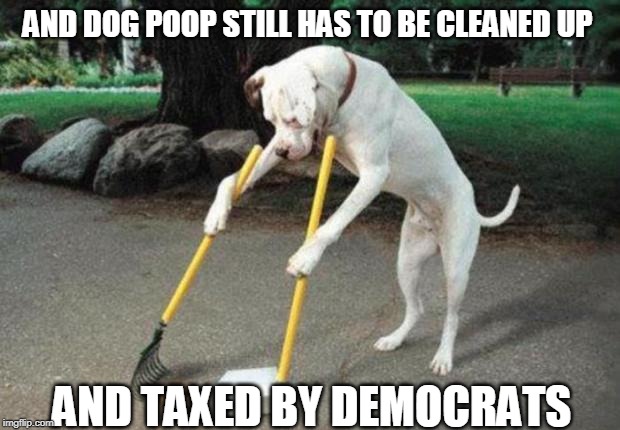 Dog poop | AND DOG POOP STILL HAS TO BE CLEANED UP AND TAXED BY DEMOCRATS | image tagged in dog poop | made w/ Imgflip meme maker