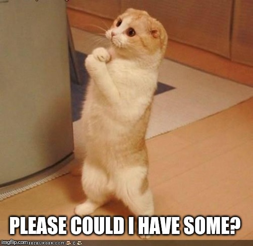 Please sir | PLEASE COULD I HAVE SOME? | image tagged in please sir | made w/ Imgflip meme maker