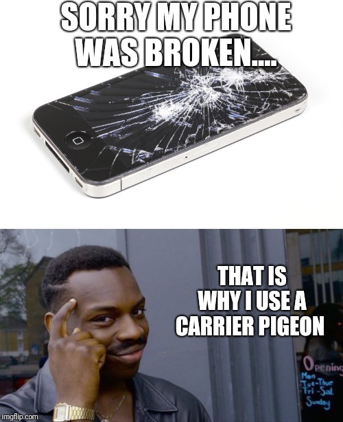  SORRY MY PHONE WAS BROKEN.... THAT IS WHY I USE A CARRIER PIGEON | image tagged in memes,roll safe think about it,mobile phone | made w/ Imgflip meme maker