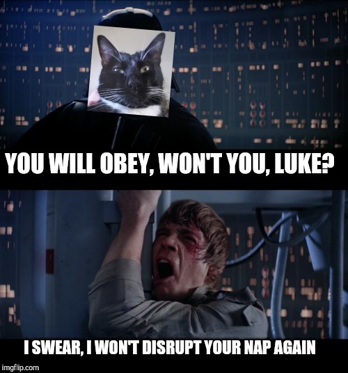 Star Wars No | YOU WILL OBEY, WON'T YOU, LUKE? I SWEAR, I WON'T DISRUPT YOUR NAP AGAIN | image tagged in memes,star wars no | made w/ Imgflip meme maker