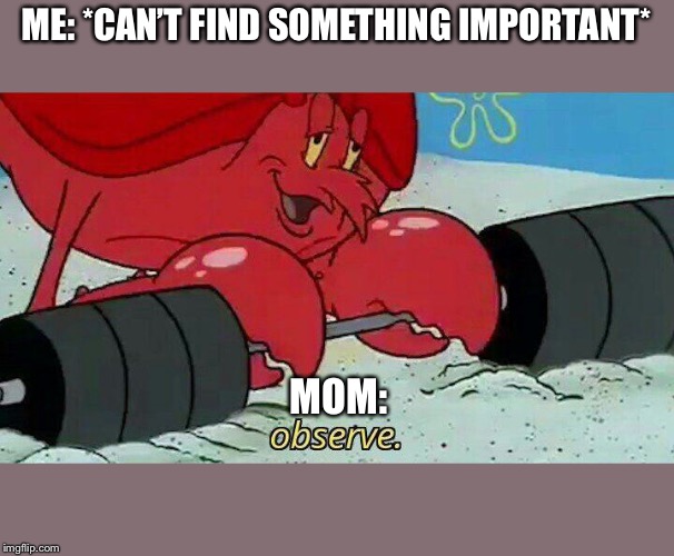 Observe | ME: *CAN’T FIND SOMETHING IMPORTANT*; MOM: | image tagged in observe | made w/ Imgflip meme maker