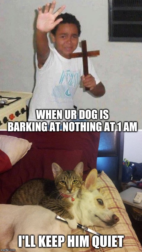 The nothing | WHEN UR DOG IS BARKING AT NOTHING AT 1 AM; I'LL KEEP HIM QUIET | image tagged in holy,memes | made w/ Imgflip meme maker