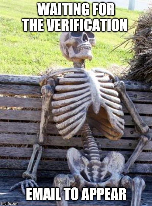 Waiting Skeleton | WAITING FOR THE VERIFICATION; EMAIL TO APPEAR | image tagged in memes,waiting skeleton | made w/ Imgflip meme maker