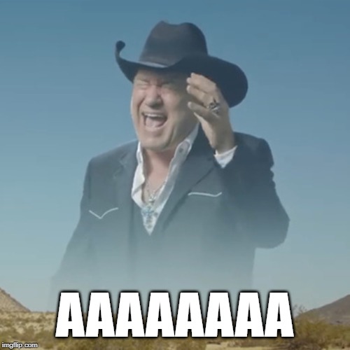 Screaming cowboy | AAAAAAAA | image tagged in screaming cowboy | made w/ Imgflip meme maker
