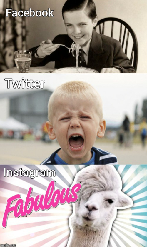 High Quality Facebook vs Twitter vs Instagram Blank Meme Template