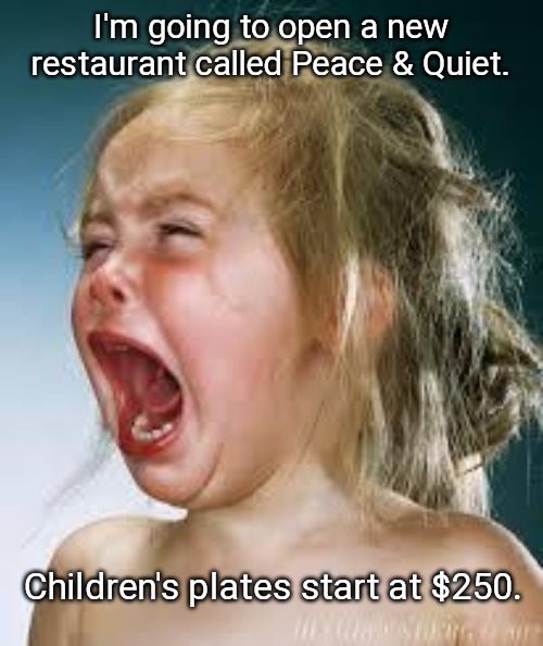 Crying Baby | I'm going to open a new restaurant called Peace & Quiet. Children's plates start at $250. | image tagged in crying baby | made w/ Imgflip meme maker