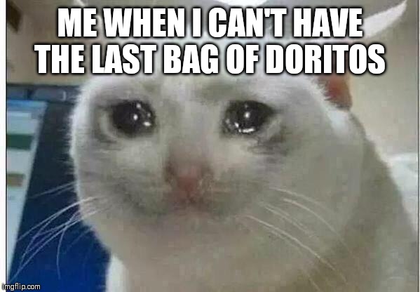 crying cat | ME WHEN I CAN'T HAVE THE LAST BAG OF DORITOS | image tagged in crying cat | made w/ Imgflip meme maker