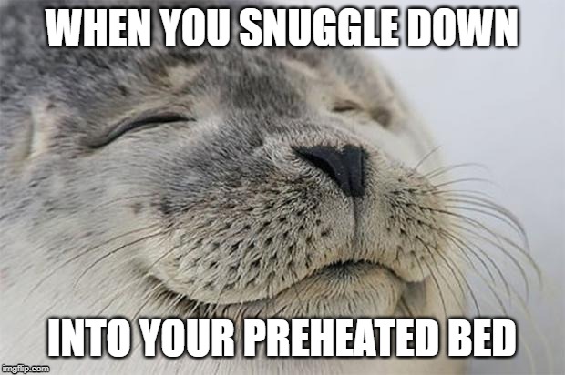 Satisfied Seal Meme | WHEN YOU SNUGGLE DOWN; INTO YOUR PREHEATED BED | image tagged in memes,satisfied seal | made w/ Imgflip meme maker
