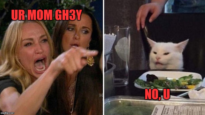 Yelling woman cat | UR MOM GH3Y; NO, U | image tagged in yelling woman cat | made w/ Imgflip meme maker