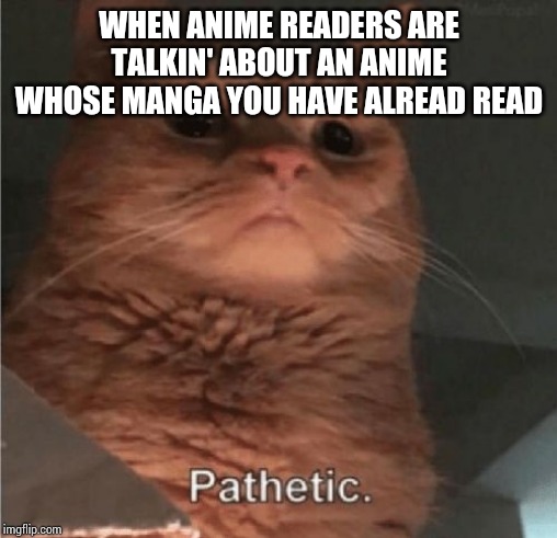Pathetic Cat | WHEN ANIME READERS ARE TALKIN' ABOUT AN ANIME WHOSE MANGA YOU HAVE ALREAD READ | image tagged in pathetic cat | made w/ Imgflip meme maker