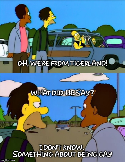 Out from the woodwork... |  OH, WE'RE FROM TIGERLAND! WHAT DID HE SAY? I DON'T KNOW. 
SOMETHING ABOUT BEING GAY | image tagged in richmond,premiers,2019,tigerland,dusty,afl | made w/ Imgflip meme maker