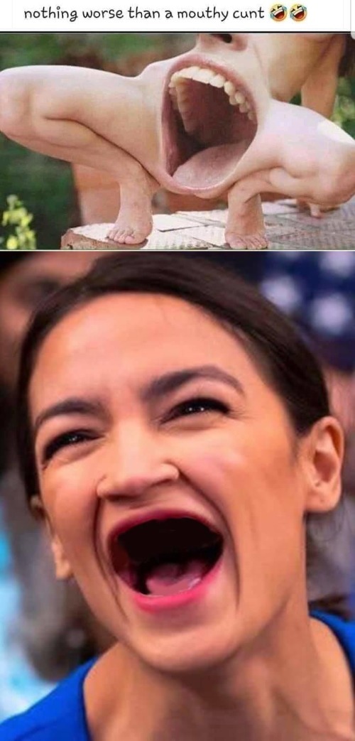 There's nothing worse than a mouthy CUNT! | image tagged in aoc,aoc stumped,mouthy,bigmouth,mr ed,crazy alexandria ocasio-cortez | made w/ Imgflip meme maker