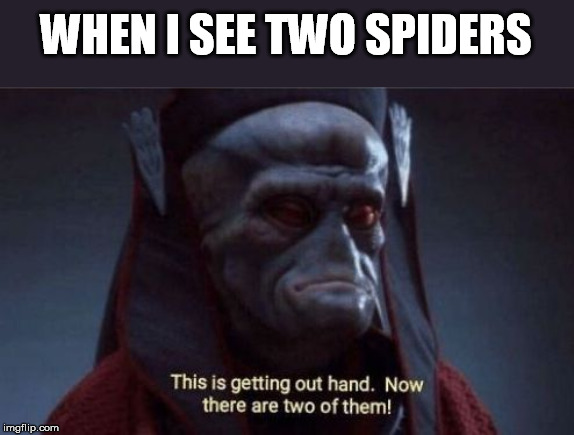 This is getting out of hand | WHEN I SEE TWO SPIDERS | image tagged in this is getting out of hand | made w/ Imgflip meme maker