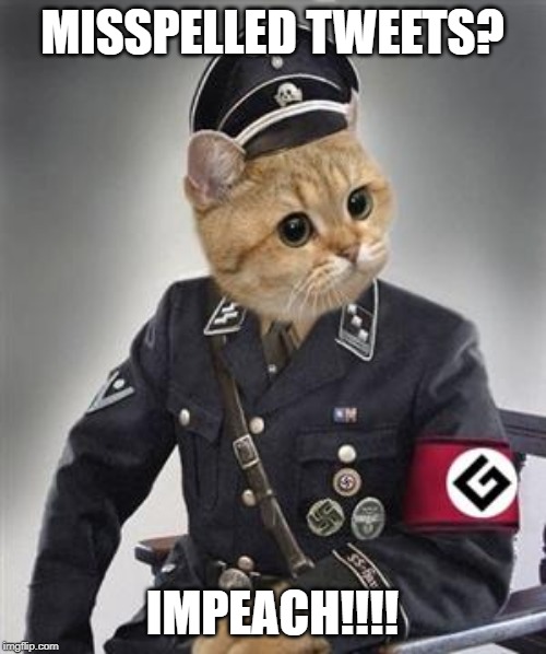 Grammar Nazi Cat | MISSPELLED TWEETS? IMPEACH!!!! | image tagged in grammar nazi cat | made w/ Imgflip meme maker