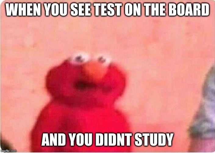 Sickened elmo | WHEN YOU SEE TEST ON THE BOARD; AND YOU DIDNT STUDY | image tagged in sickened elmo | made w/ Imgflip meme maker