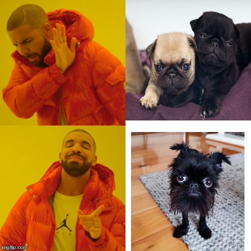 Drake Hotline Bling | image tagged in memes,drake hotline bling | made w/ Imgflip meme maker