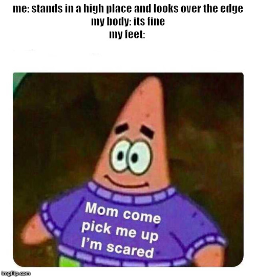 Patrick Mom come pick me up I'm scared | me: stands in a high place and looks over the edge
my body: its fine
my feet: | image tagged in patrick mom come pick me up i'm scared | made w/ Imgflip meme maker