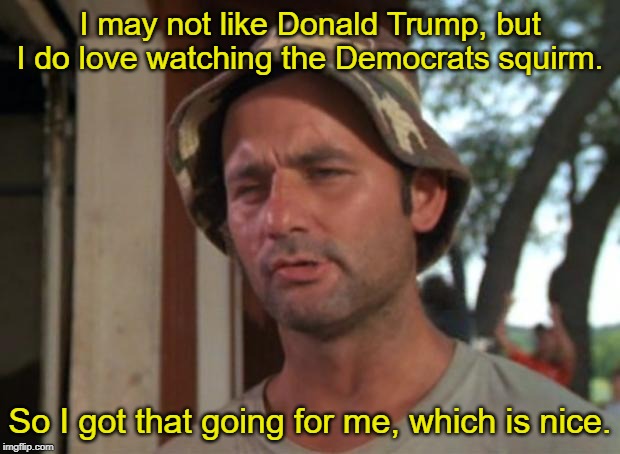 So I Got That Goin For Me Which Is Nice | I may not like Donald Trump, but I do love watching the Democrats squirm. So I got that going for me, which is nice. | image tagged in memes,so i got that goin for me which is nice | made w/ Imgflip meme maker