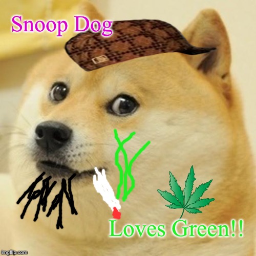 Snoop Dogg Loves Green | Snoop Dog; Loves Green!! | image tagged in memes,doge,snoop dogg,marijuana,ganja,dope | made w/ Imgflip meme maker