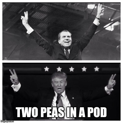 Trump Nixon | TWO PEAS IN A POD | image tagged in trump nixon | made w/ Imgflip meme maker