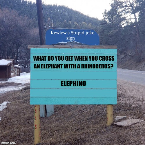 stupid joke | WHAT DO YOU GET WHEN YOU CROSS; AN ELEPHANT WITH A RHINOCEROS? ELEPHINO | image tagged in elephant,rhino,joke | made w/ Imgflip meme maker