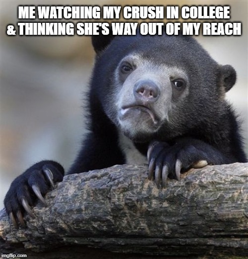 Confession Bear Meme | ME WATCHING MY CRUSH IN COLLEGE & THINKING SHE'S WAY OUT OF MY REACH | image tagged in memes,confession bear | made w/ Imgflip meme maker