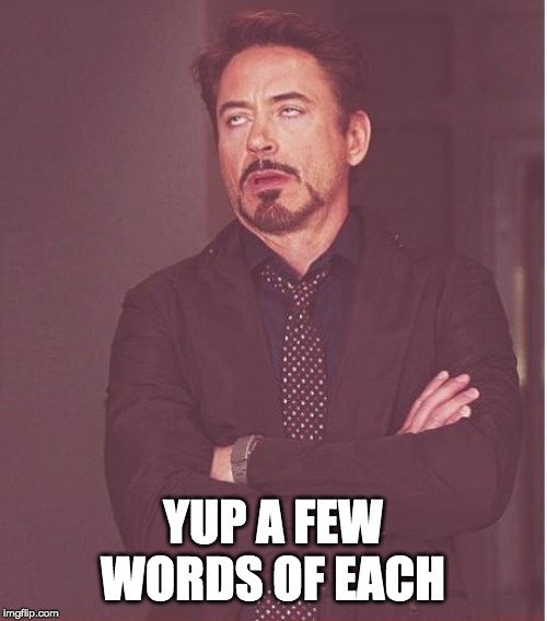 Face You Make Robert Downey Jr Meme | YUP A FEW WORDS OF EACH | image tagged in memes,face you make robert downey jr | made w/ Imgflip meme maker