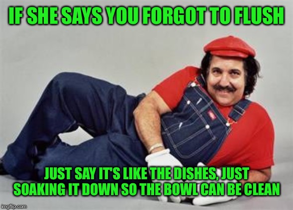 What do you mean that sounds gross, it's a bowl right? I just prepared more than was able to manage | IF SHE SAYS YOU FORGOT TO FLUSH; JUST SAY IT'S LIKE THE DISHES, JUST SOAKING IT DOWN SO THE BOWL CAN BE CLEAN | image tagged in ron jeremy | made w/ Imgflip meme maker