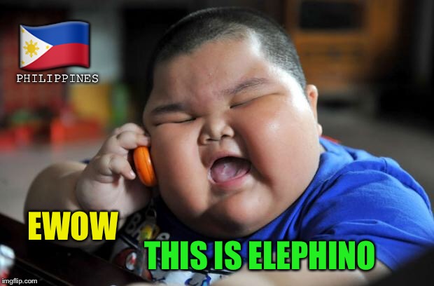 Fat Asian Kid | ?? EWOW THIS IS ELEPHINO PHILIPPINES | image tagged in fat asian kid | made w/ Imgflip meme maker