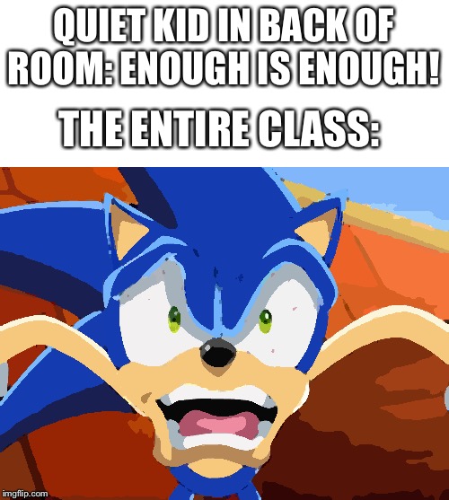 THE ENTIRE CLASS: image tagged in sonic scared face,quiet kid,class,enough ...