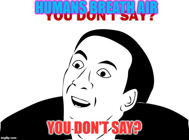 You Don't Say Meme | HUMANS BREATH AIR; YOU DON'T SAY? | image tagged in memes,you don't say | made w/ Imgflip meme maker