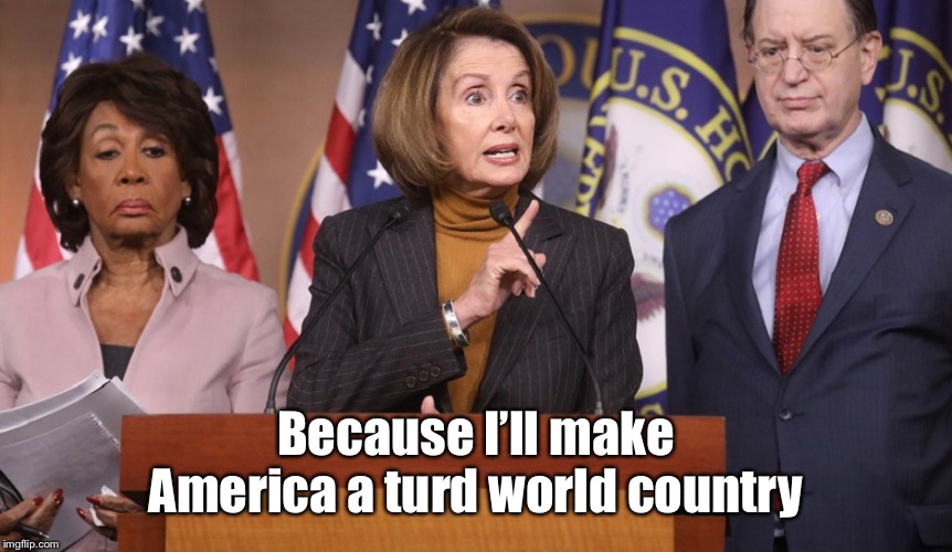The return of cholera, brought to you by America’s West Coast cities! | Because I’ll make America a turd world country | image tagged in pelosi explains,turd world,homeless,street bathroom,cholera | made w/ Imgflip meme maker