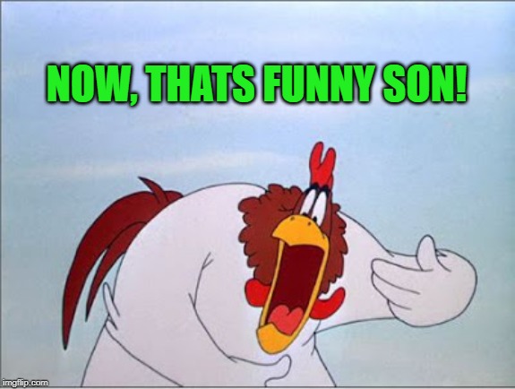 foghorn | NOW, THATS FUNNY SON! | image tagged in foghorn | made w/ Imgflip meme maker