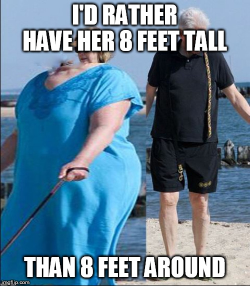 I'D RATHER HAVE HER 8 FEET TALL THAN 8 FEET AROUND | made w/ Imgflip meme maker