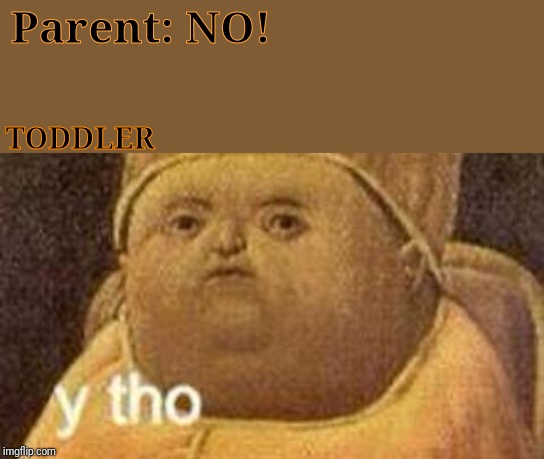 why tho | Parent: NO! TODDLER | image tagged in why tho | made w/ Imgflip meme maker