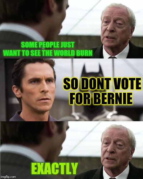 Alfred Pennyworth - "why do we fall" quote | SOME PEOPLE JUST WANT TO SEE THE WORLD BURN; SO DONT VOTE FOR BERNIE; EXACTLY | image tagged in alfred pennyworth - why do we fall quote | made w/ Imgflip meme maker