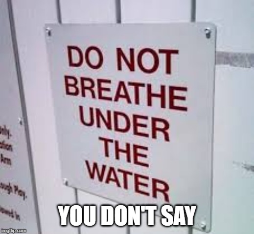 YOU DON'T SAY | image tagged in funny memes | made w/ Imgflip meme maker