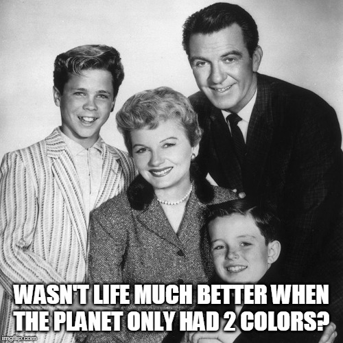 Leave It To Beaver | WASN'T LIFE MUCH BETTER WHEN THE PLANET ONLY HAD 2 COLORS? | image tagged in leave it to beaver | made w/ Imgflip meme maker