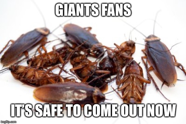 Cockroaches | GIANTS FANS; IT’S SAFE TO COME OUT NOW | image tagged in cockroaches | made w/ Imgflip meme maker