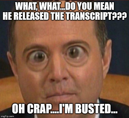 Ig report Adam schiffff | WHAT, WHAT...DO YOU MEAN HE RELEASED THE TRANSCRIPT??? OH CRAP....I'M BUSTED... | image tagged in ig report adam schiffff | made w/ Imgflip meme maker