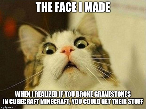 Scared Cat Meme | THE FACE I MADE; WHEN I REALIZED IF YOU BROKE GRAVESTONES IN CUBECRAFT MINECRAFT, YOU COULD GET THEIR STUFF | image tagged in memes,scared cat | made w/ Imgflip meme maker