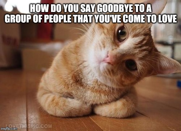 Curious Question Cat | HOW DO YOU SAY GOODBYE TO A GROUP OF PEOPLE THAT YOU'VE COME TO LOVE | image tagged in curious question cat | made w/ Imgflip meme maker