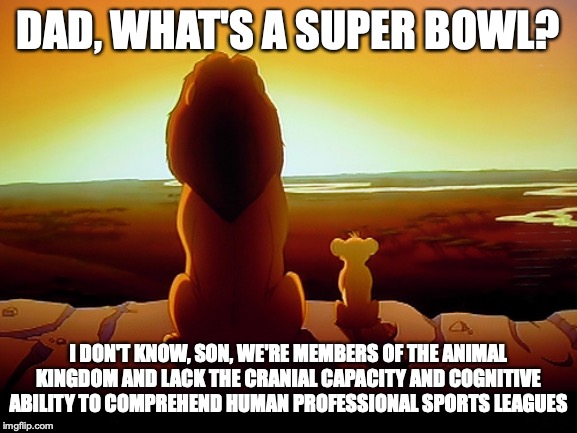 Lion King Meme | DAD, WHAT'S A SUPER BOWL? I DON'T KNOW, SON, WE'RE MEMBERS OF THE ANIMAL KINGDOM AND LACK THE CRANIAL CAPACITY AND COGNITIVE ABILITY TO COMPREHEND HUMAN PROFESSIONAL SPORTS LEAGUES | image tagged in memes,lion king | made w/ Imgflip meme maker