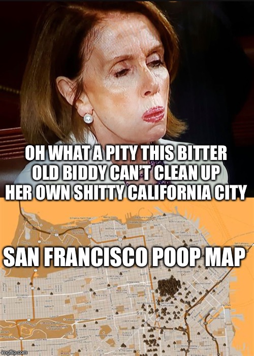 Nancy’s city | OH WHAT A PITY THIS BITTER OLD BIDDY CAN’T CLEAN UP HER OWN SHITTY CALIFORNIA CITY; SAN FRANCISCO POOP MAP | image tagged in political meme | made w/ Imgflip meme maker