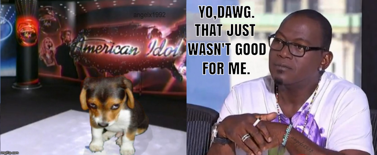 Tinypic decided to delete everything so reposting meme I made like 11 years ago. | image tagged in american idol,yo dawg,puppy,dog,randy jackson,cute puppy | made w/ Imgflip meme maker