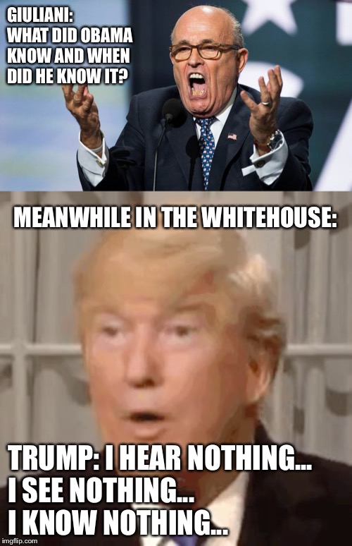 Dumb and Dumber | GIULIANI: WHAT DID OBAMA KNOW AND WHEN DID HE KNOW IT? MEANWHILE IN THE WHITEHOUSE:; TRUMP: I HEAR NOTHING... 
I SEE NOTHING... 
I KNOW NOTHING... | image tagged in guiliani,trump-mfw,memes | made w/ Imgflip meme maker