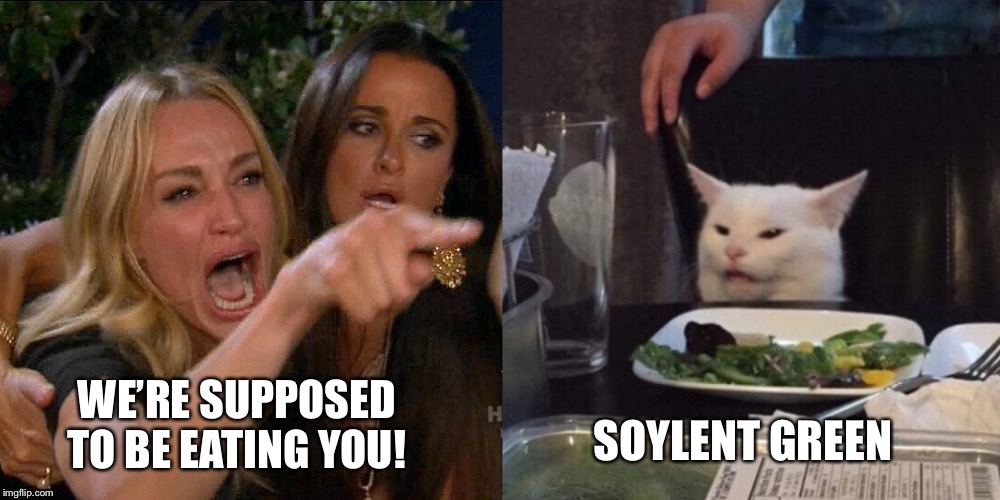 Woman yelling at cat | WE’RE SUPPOSED TO BE EATING YOU! SOYLENT GREEN | image tagged in woman yelling at cat | made w/ Imgflip meme maker